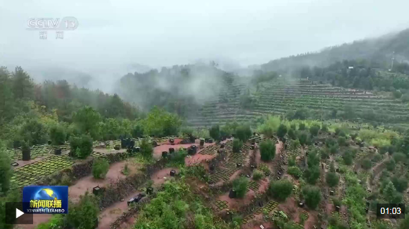 2025年我国乡村产业高质量发展取得积极成效