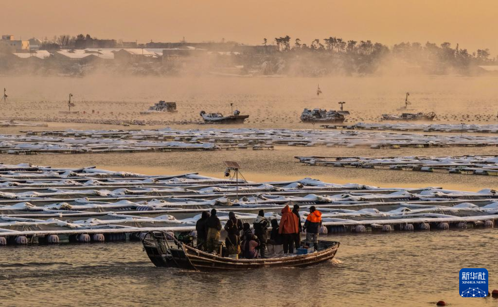 山东荣成:雪后海湾出现“海浩”景观