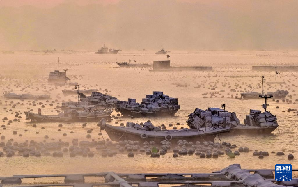 山东荣成:雪后海湾出现“海浩”景观