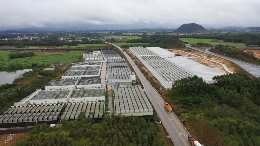 花开“富贵”：一座西部县城的鲜花经济跃迁之路