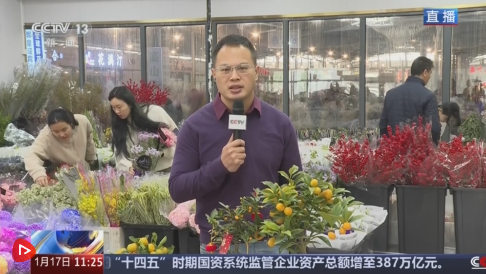 花市“热”起来涌动节前消费暖流 浓浓“年味”映射出中国市场韧性强、活力足