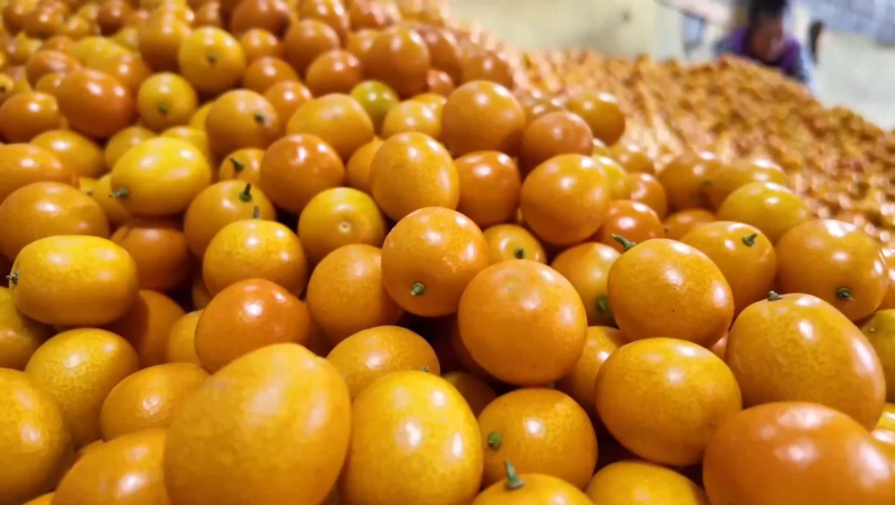 小城大市｜传统果品在“养生赛道”闯出“百亿身价”