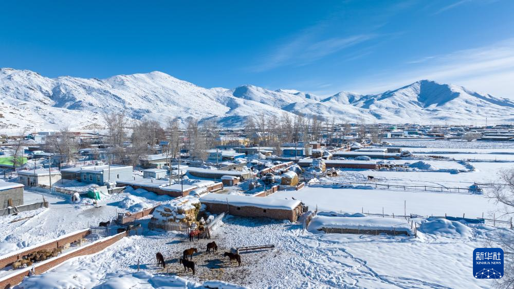 新疆:多部门联动筑起寒潮中的温暖防线