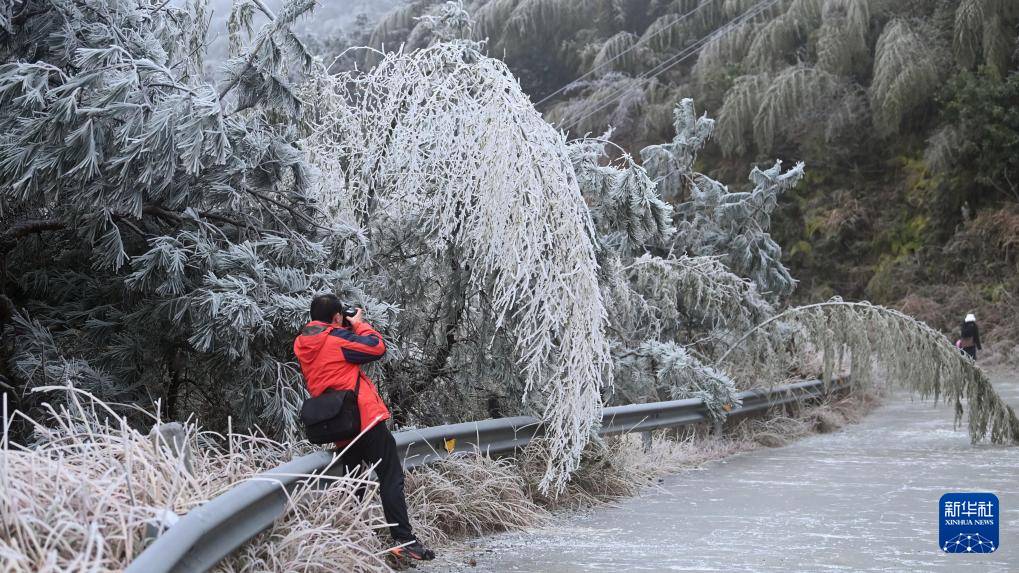 广西三江:冰凌美如画