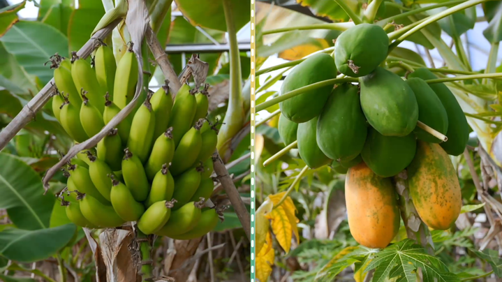 大道之行 | 从“死亡之海”到“塞外明珠”: 山水林田湖草沙综合治理的北疆实践