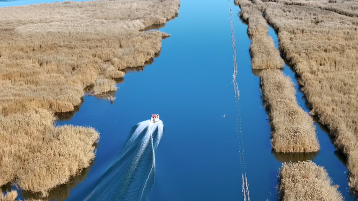 大道之行 | 从“死亡之海”到“塞外明珠”: 山水林田湖草沙综合治理的北疆实践