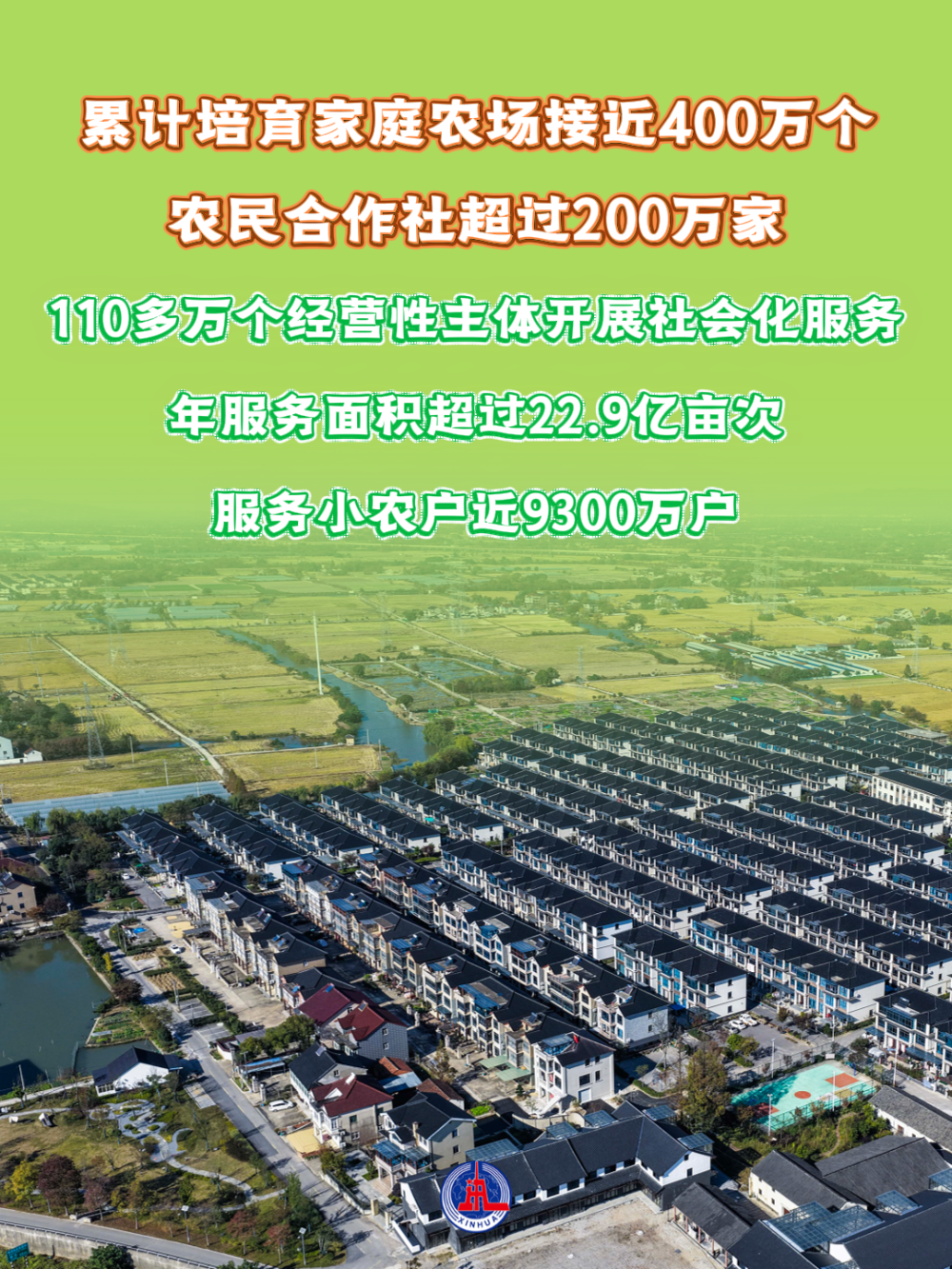 数览成绩单·2025新成就｜成绩喜人，五个角度看2025年“三农”发展新变化