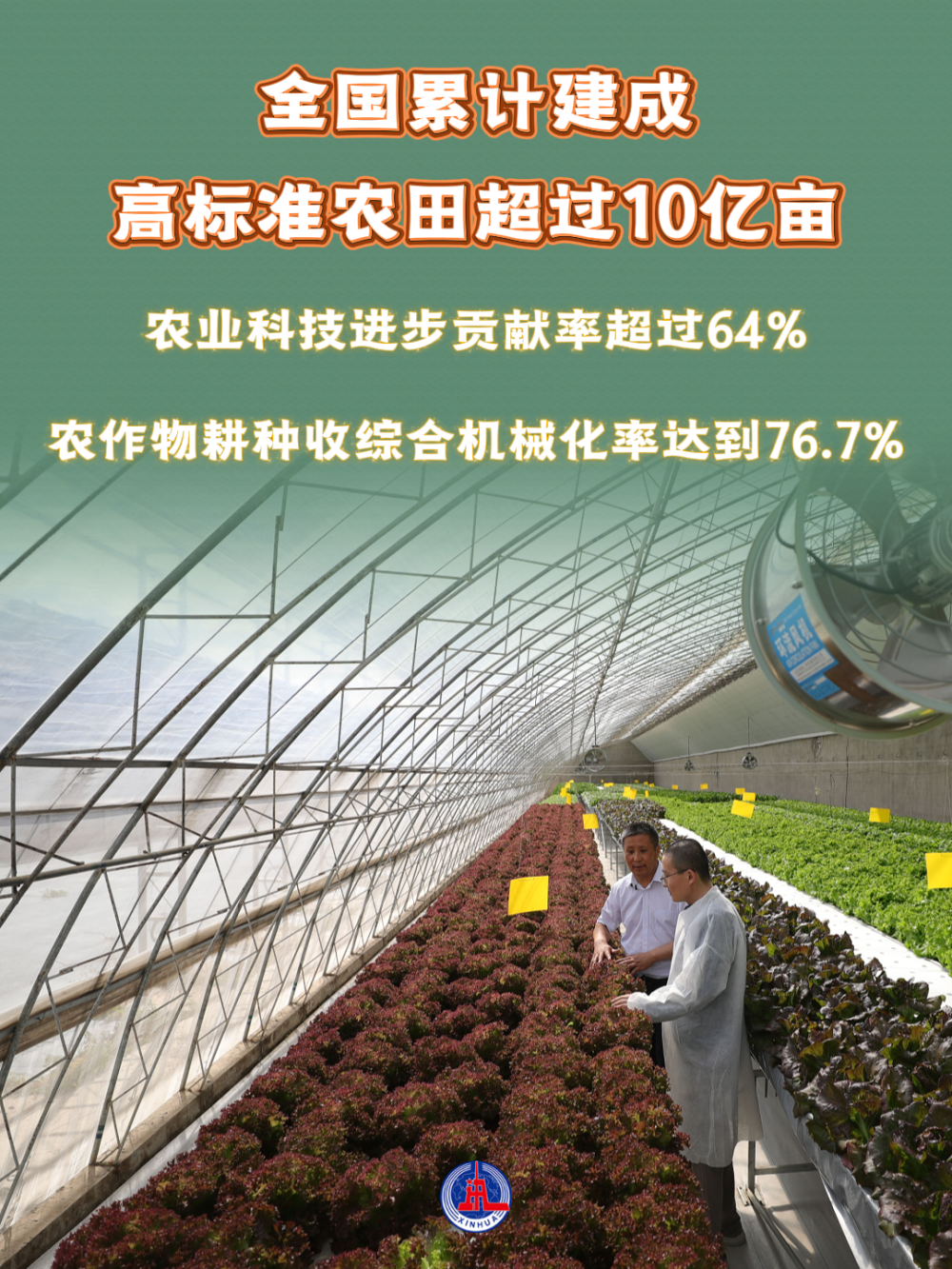 数览成绩单·2025新成就｜成绩喜人，五个角度看2025年“三农”发展新变化