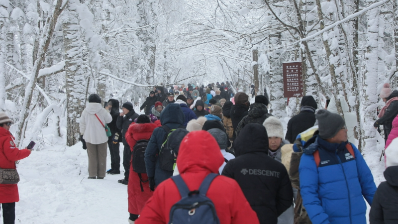 从“猫冬闲”到“忙赚钱” 冰雪经济点亮农民致富路