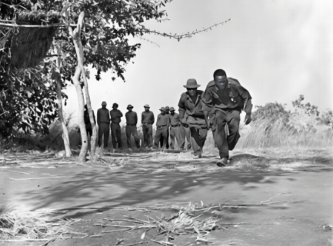 走过峥嵘岁月 共赴现代化新征程——习近平主席复信津巴布韦老战士寄语中非友好续写新篇 走过峥嵘岁月 共赴现代化新征程——习近平主席复信津巴布韦老战士寄语中非友好续写新篇