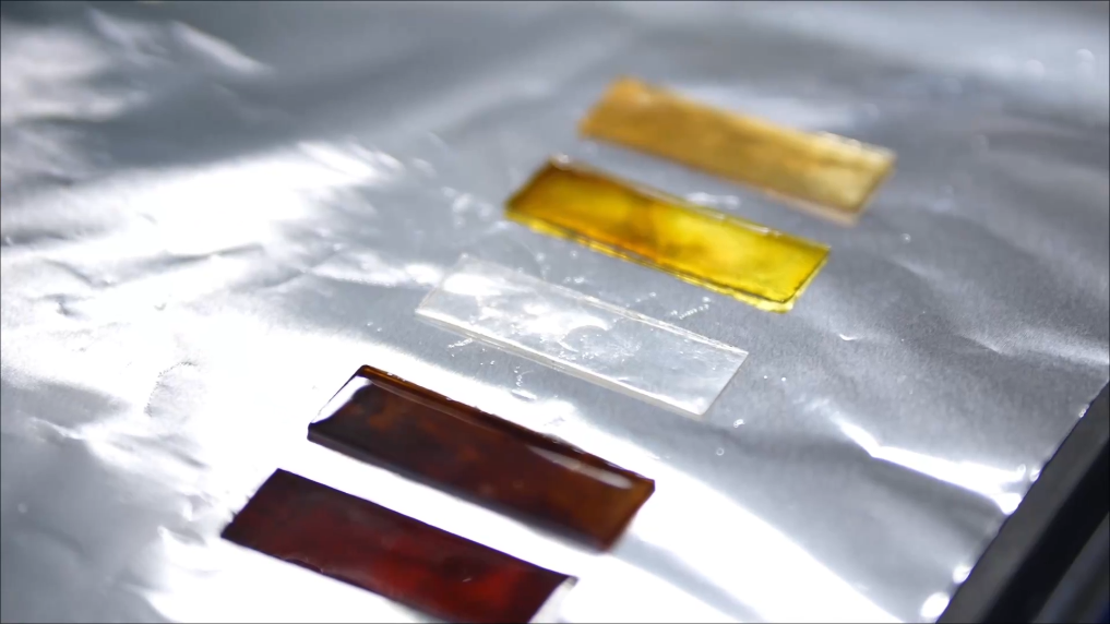 向上2026:一月经济观察 聚新动能向未来