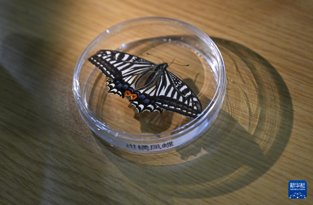 重庆大学“神农开物2号”在轨试验取得新进展