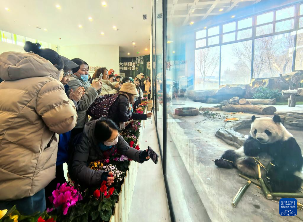 乌鲁木齐水上乐园大熊猫馆试运营