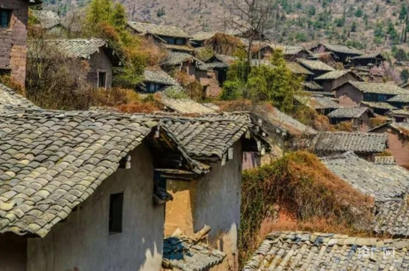 行稳致远开新局丨咖香漫路花盈途 “云”端发轫如何拼出新图景?