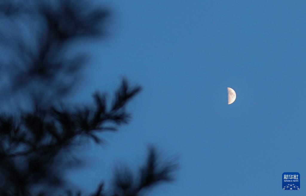 星空相册丨年度最大上弦月现身天宇