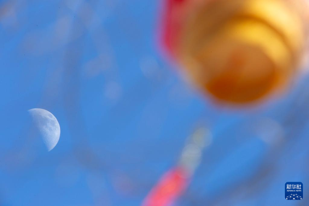 星空相册丨年度最大上弦月现身天宇