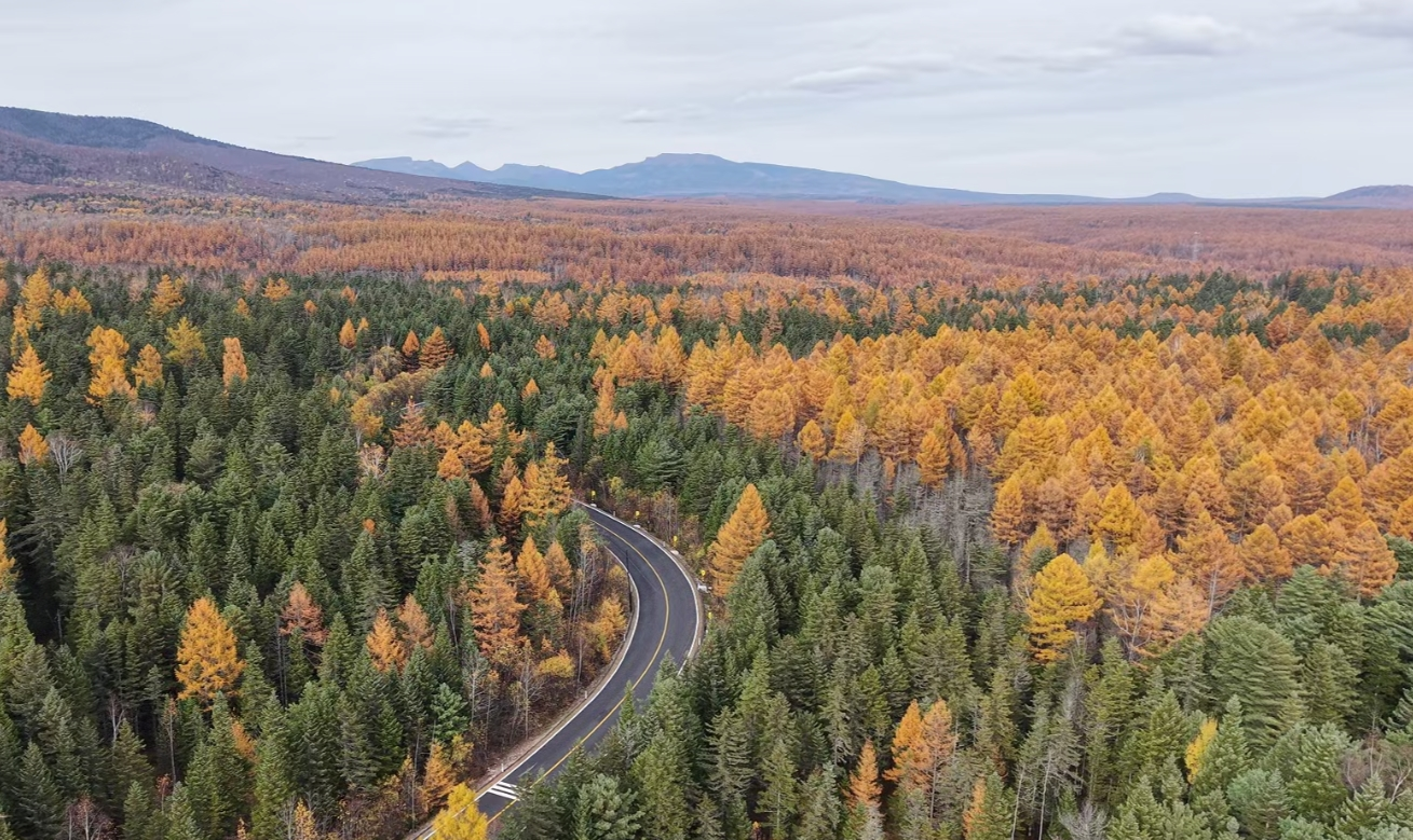 行稳致远开新局 | 创新综合指标再跃升,白山松水如何抢占发展新“吉”遇?