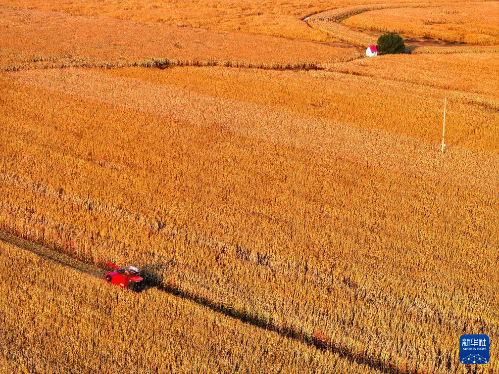 镜观中国丨影像回眸“十四五”——经济增长 稳健前行