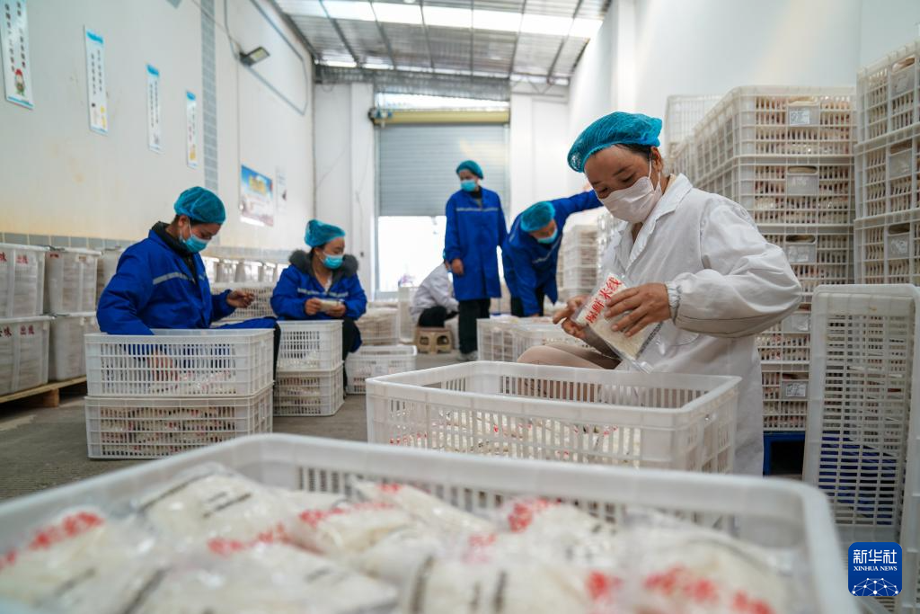 从街头小吃到规模生产:蒙自过桥米线的“出圈密码”