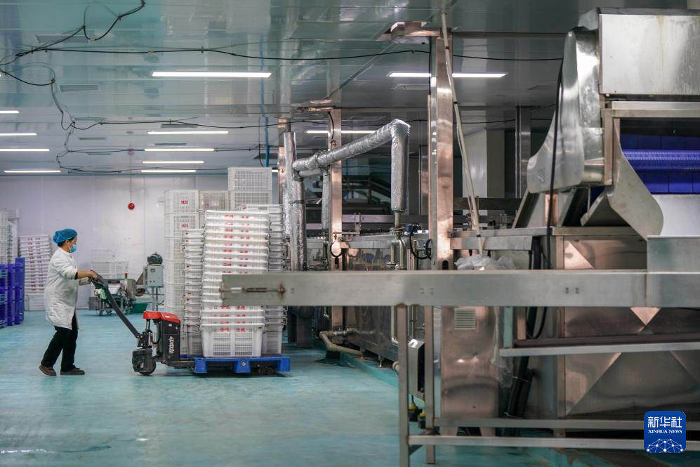 从街头小吃到规模生产:蒙自过桥米线的“出圈密码”