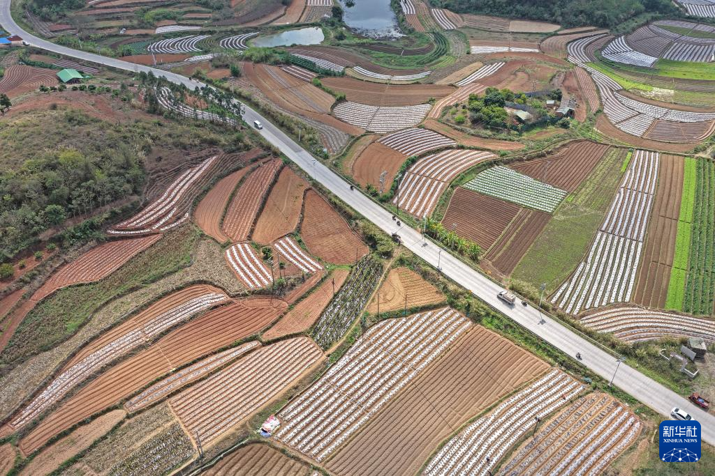 人勤春来早 农忙正当时