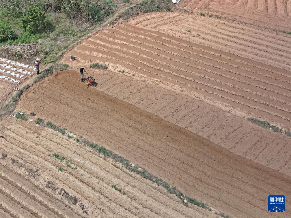 人勤春来早 农忙正当时