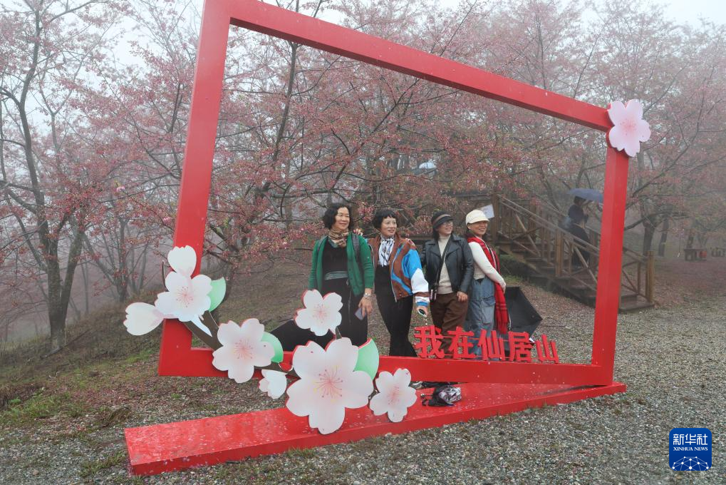 樱花绽放激活“春日经济”