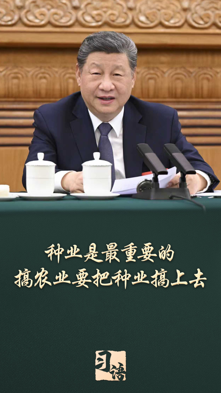 习语丨一粒小小的种子,何以让总书记如此牵挂?