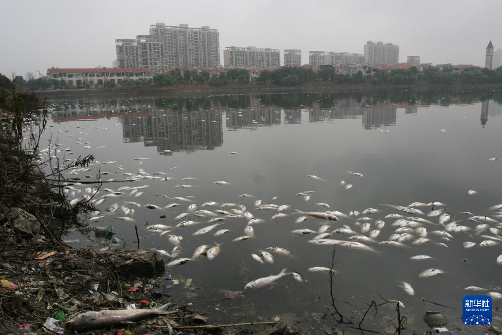 湖南常德:一水柔蓝 烟火两岸