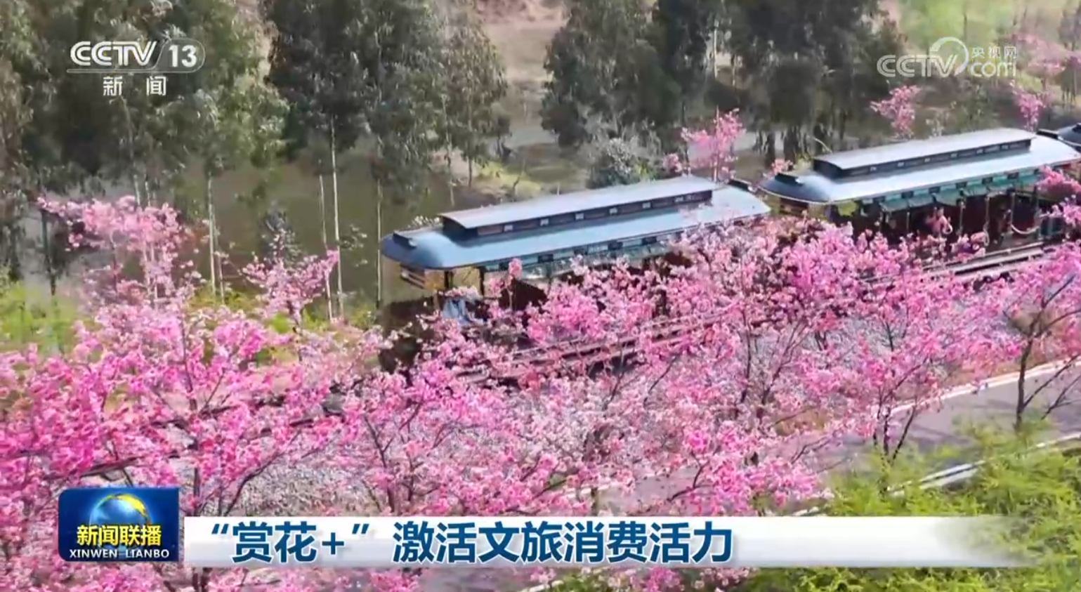 “赏花+”激活文旅消费活力