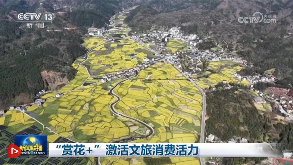 “赏花+”激活文旅消费活力