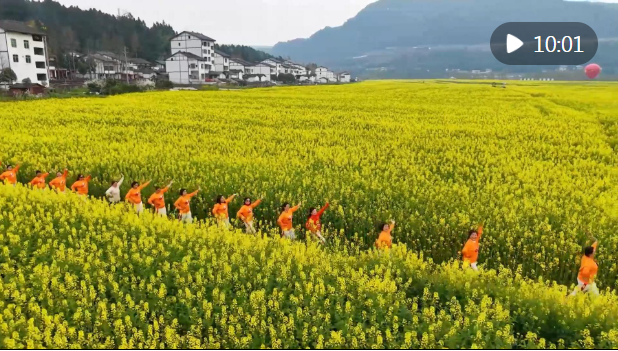 新华视点｜春日盛景赋能“花经济” 文旅融合焕发新活力