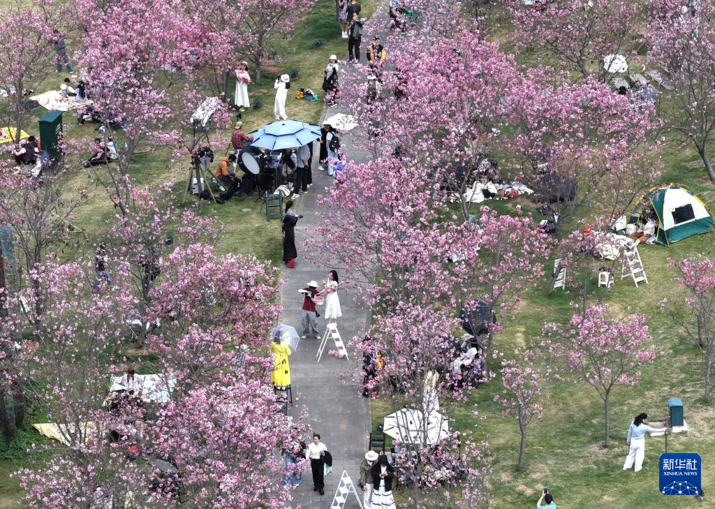 春光明媚赏花时