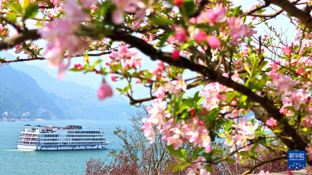 春光明媚赏花时