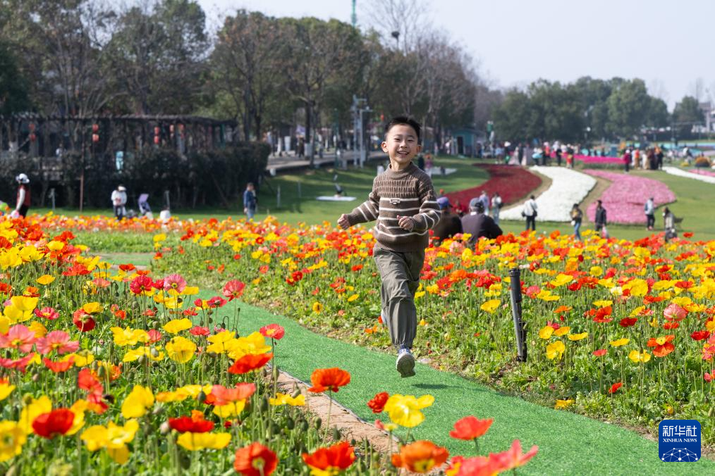 春光明媚赏花时