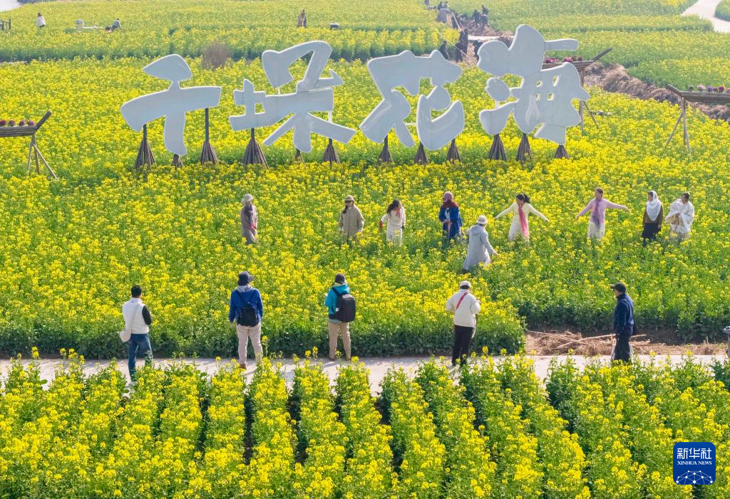 春光明媚赏花时