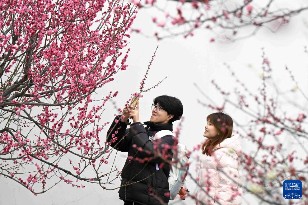 春光明媚赏花时