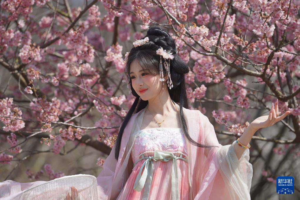 春光明媚赏花时