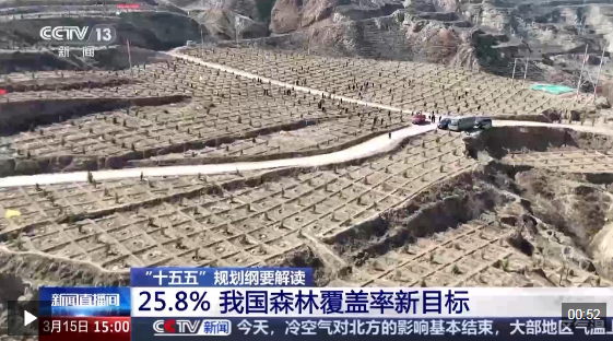 我国森林覆盖率新目标25.8% 解读数字背后的深意