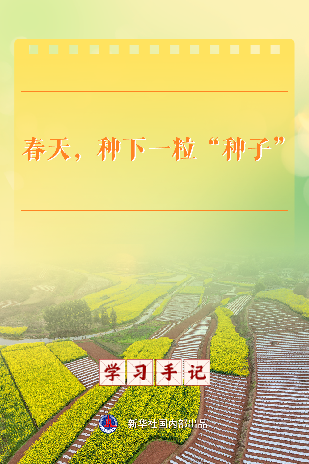 学习手记｜春天，种下一粒“种子”