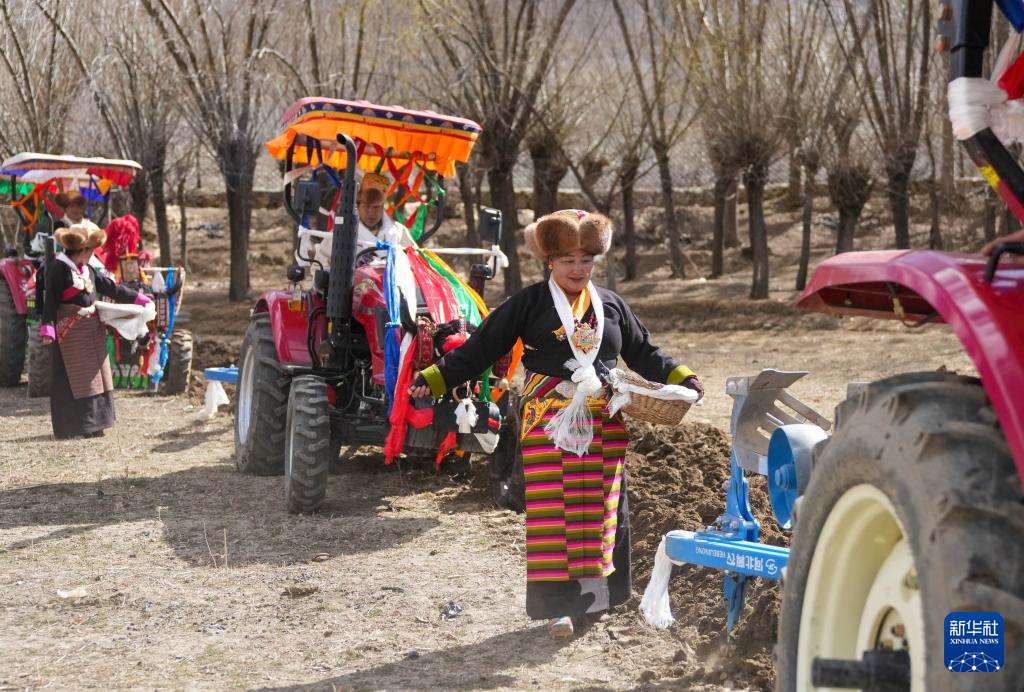 西藏农区迎来春耕大典