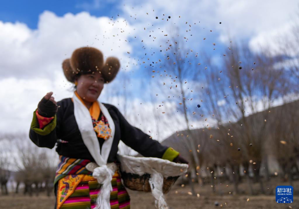 西藏农区迎来春耕大典