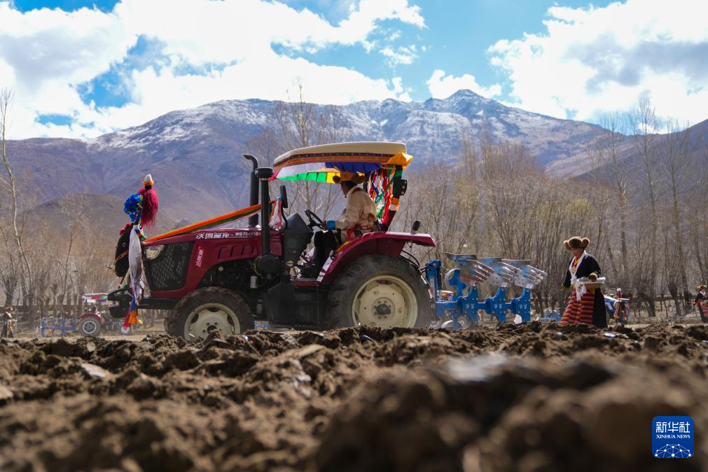 西藏农区迎来春耕大典