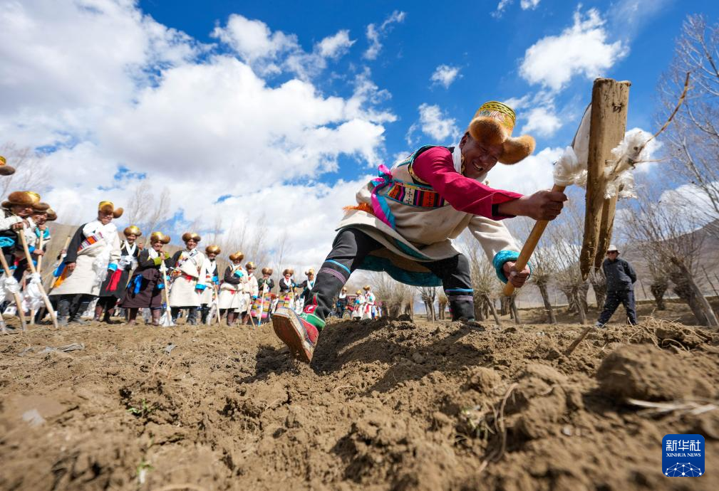 西藏农区迎来春耕大典
