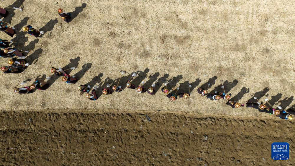 西藏农区迎来春耕大典