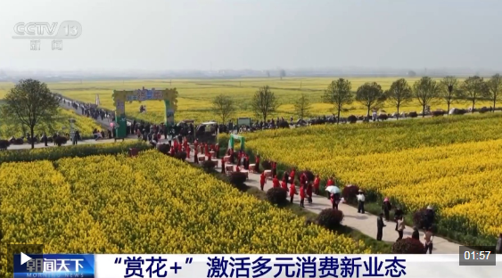 视频丨踏青赏花、采春茶、吃春菜 各地特色活动邀你尽享春日惬意