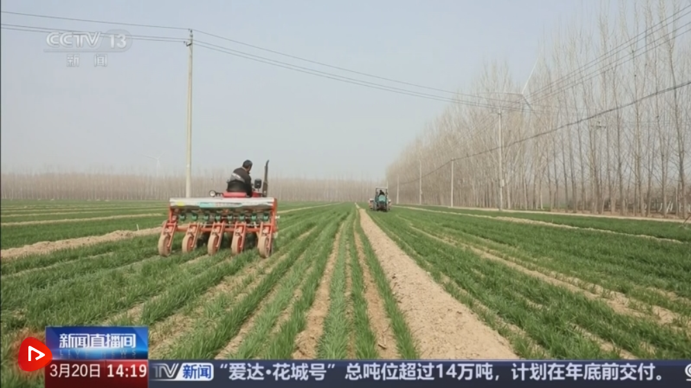 “科技提质增效+金融活水滴灌”为夏粮稳产丰收筑牢基础