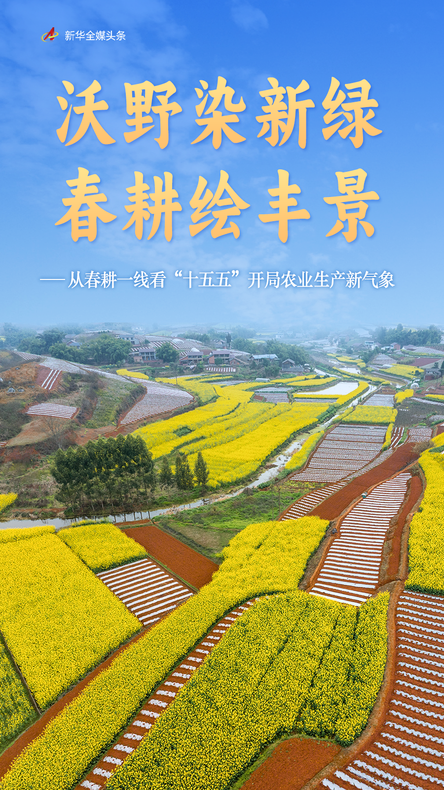 沃野染新绿 春耕绘丰景——从春耕一线看“十五五”开局农业生产新气象