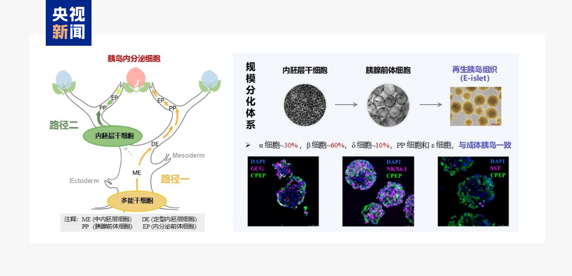 全球首次、硬核突破!本周,我国多领域成果密集“上新”
