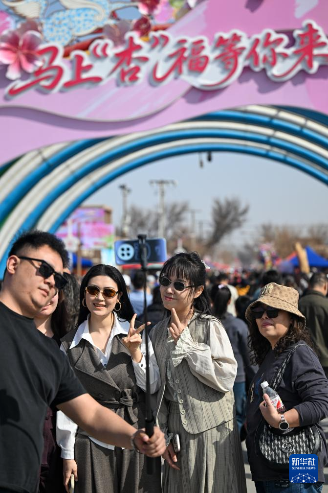 新疆吐鲁番:赴一场杏花之约